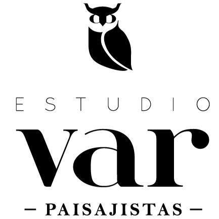 Estudio VAR