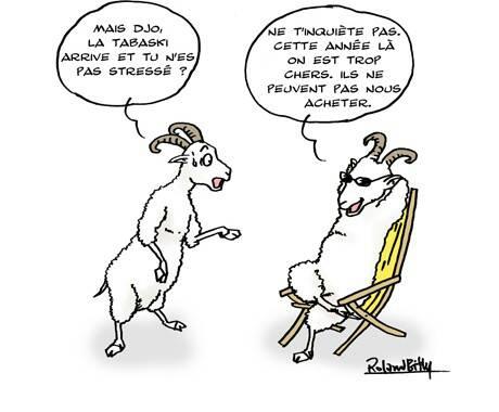 Tous ce qui arrive a un sens