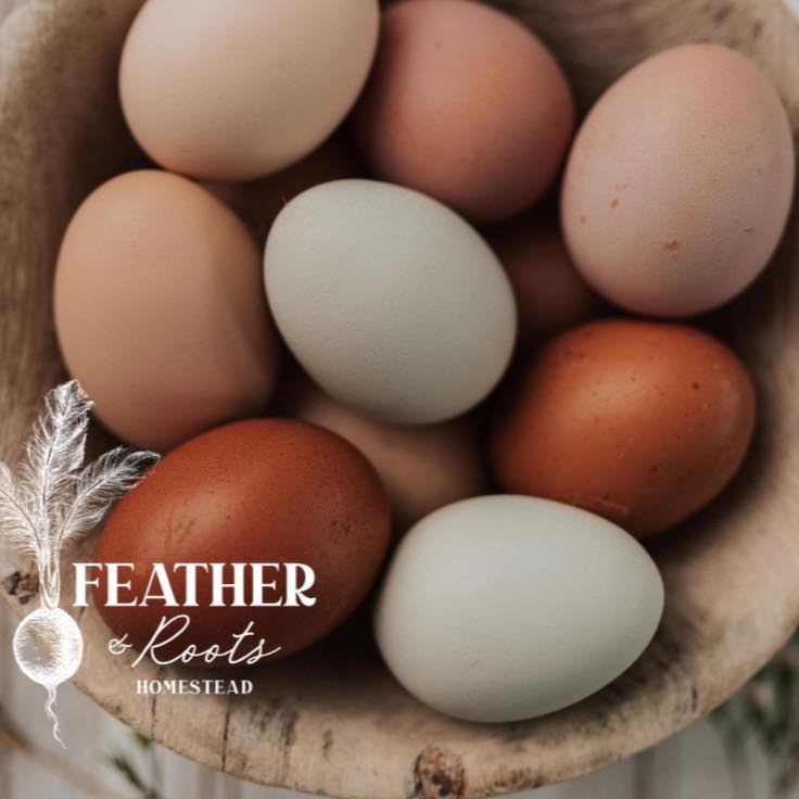 Feather & Roots Homestead | Dorr MI