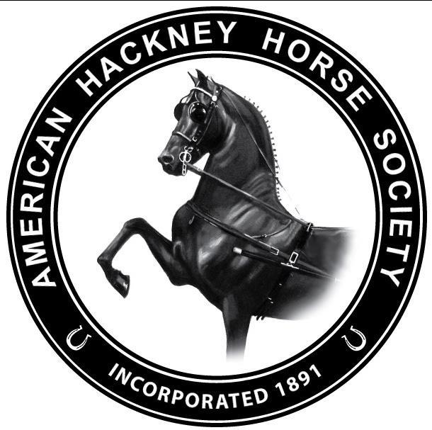 American Hackney Horse Society | Versailles KY