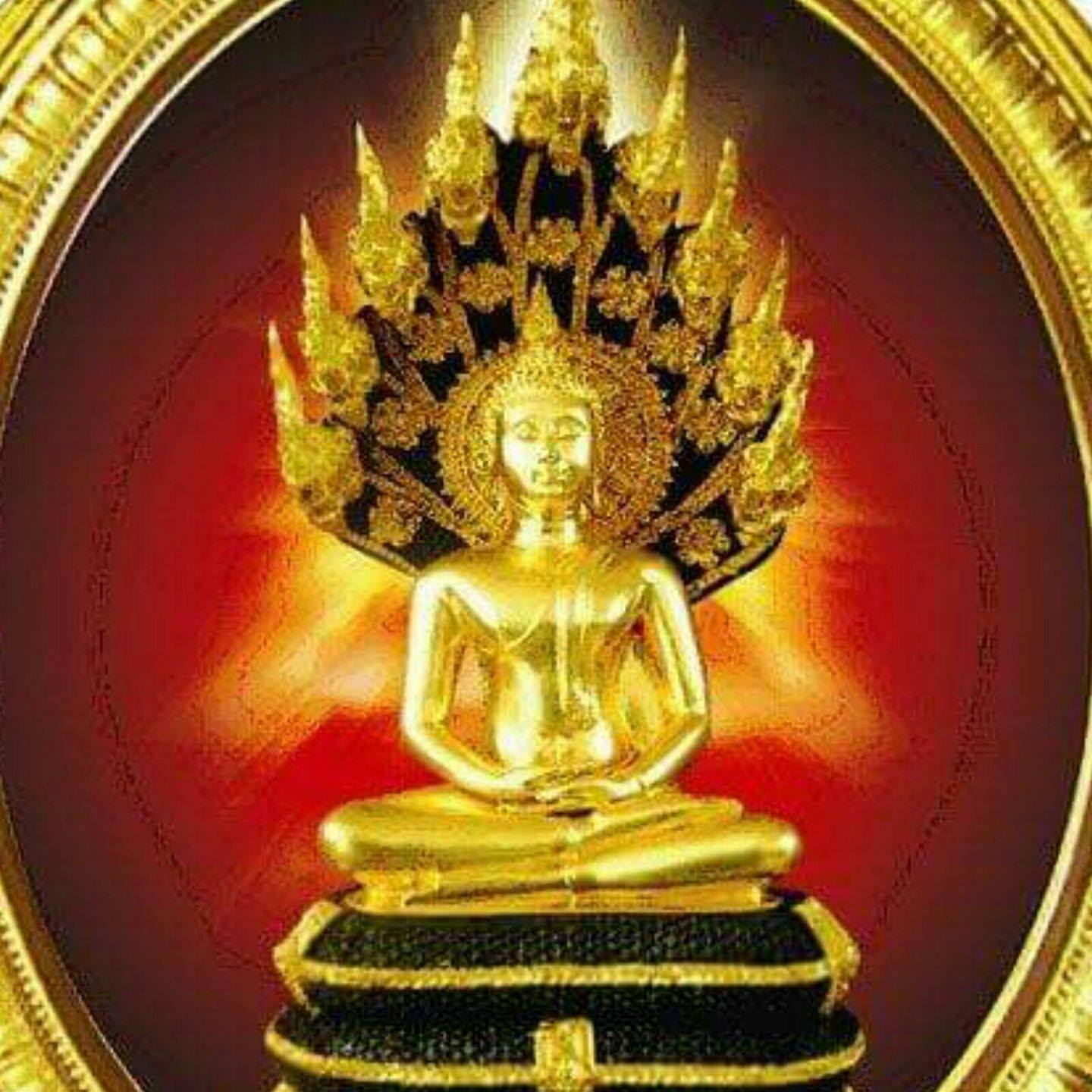 Pradee Society ศูนย์รวมพระดีทั่วฟ้าเมืองไทย
