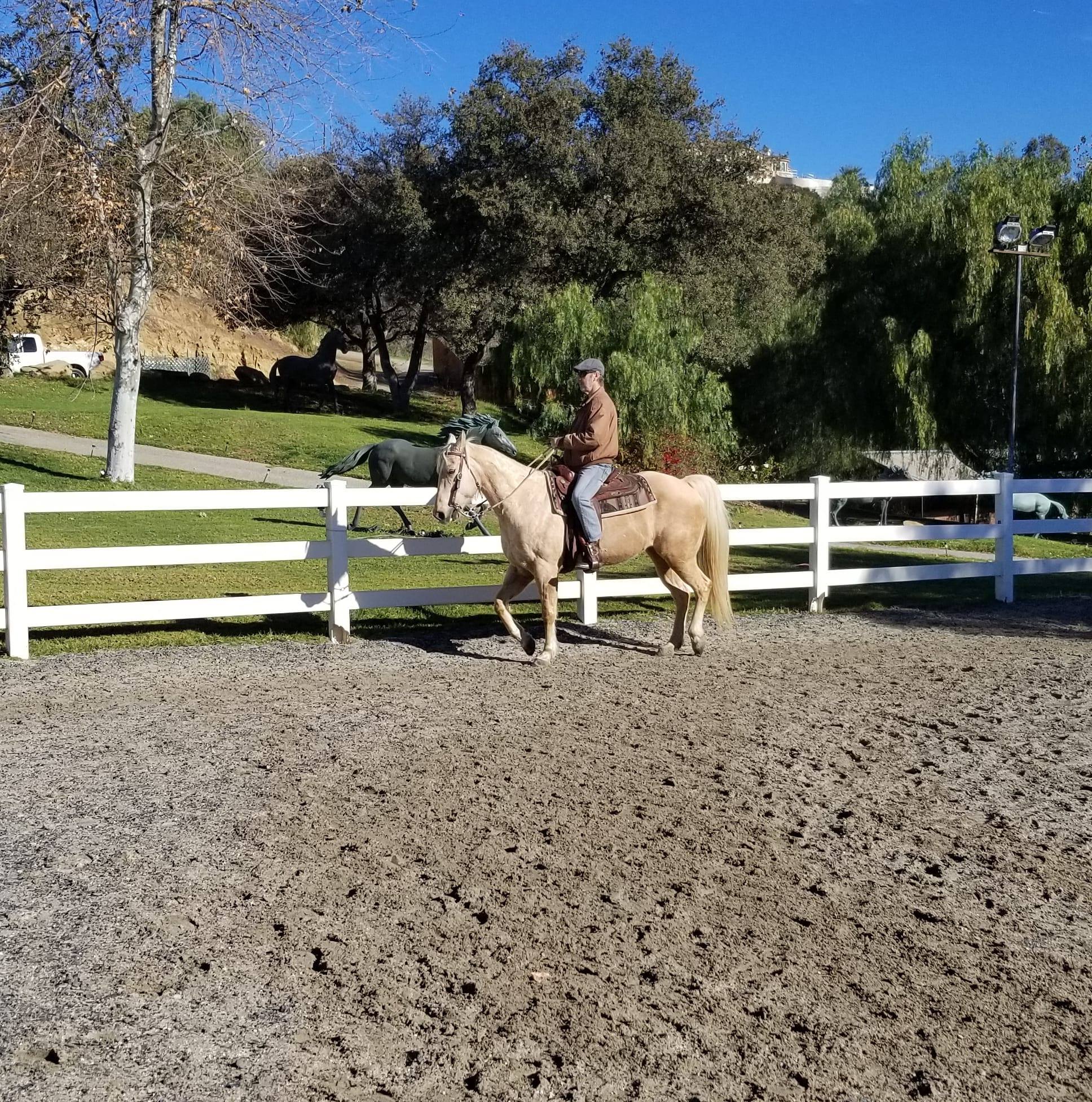 Misty Hollow Ranch at Fern Ann Ranch | Chatsworth CA