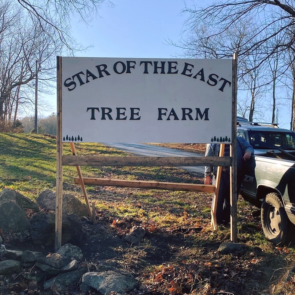 Star of the East Christmas Tree Farm Sutton MA