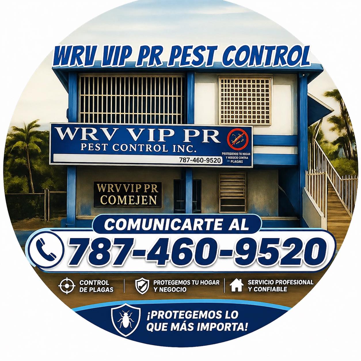 WRV - ⚠️⚠️ 🪳 ¿Sabías esto sobre las cucarachas? Las cucarachas son una ...