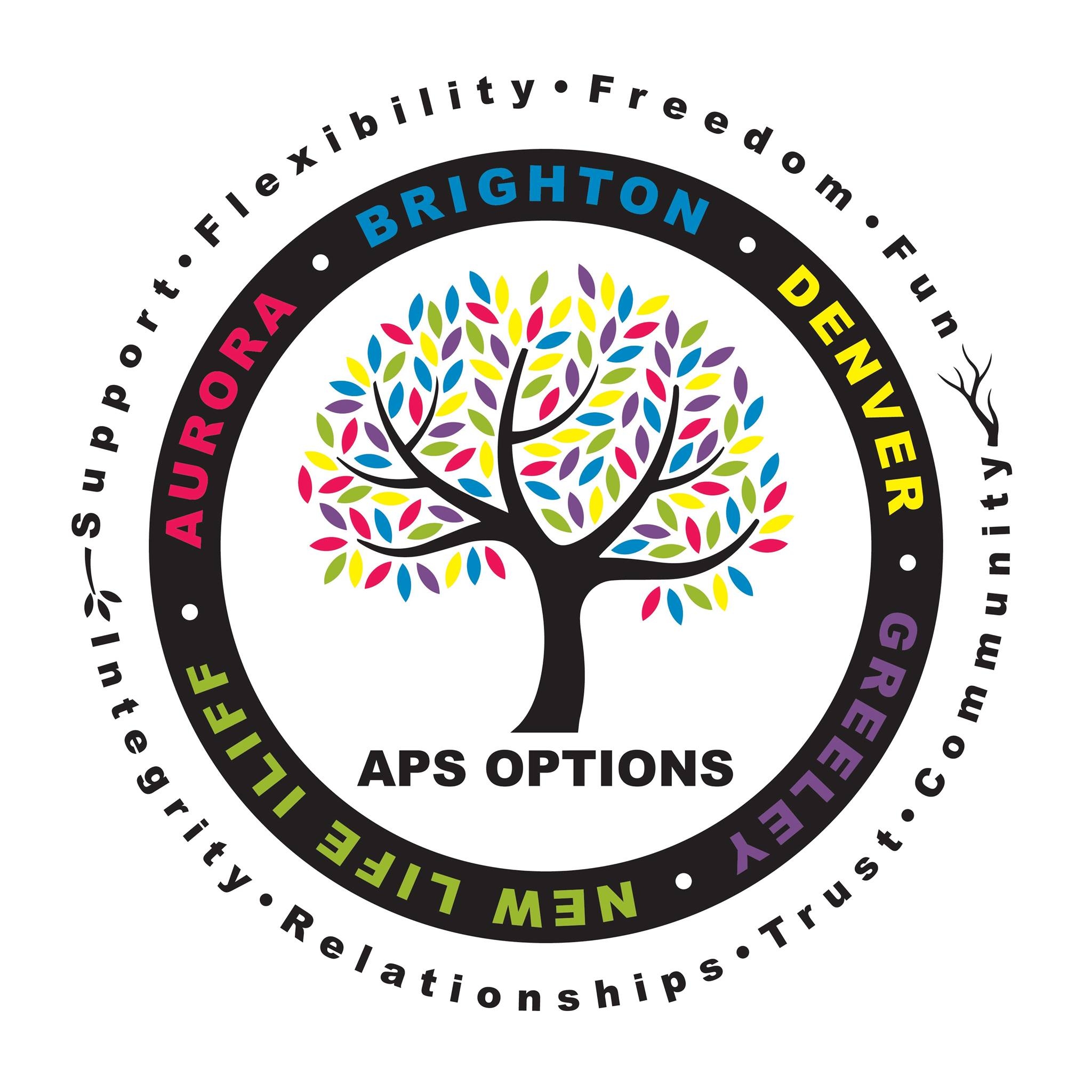 APS Options School