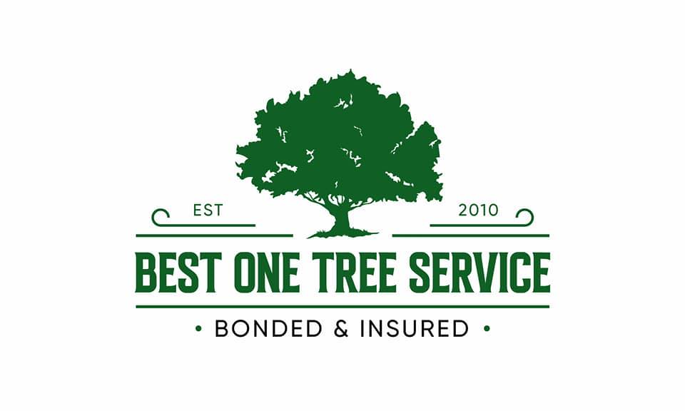 Best one Tree service