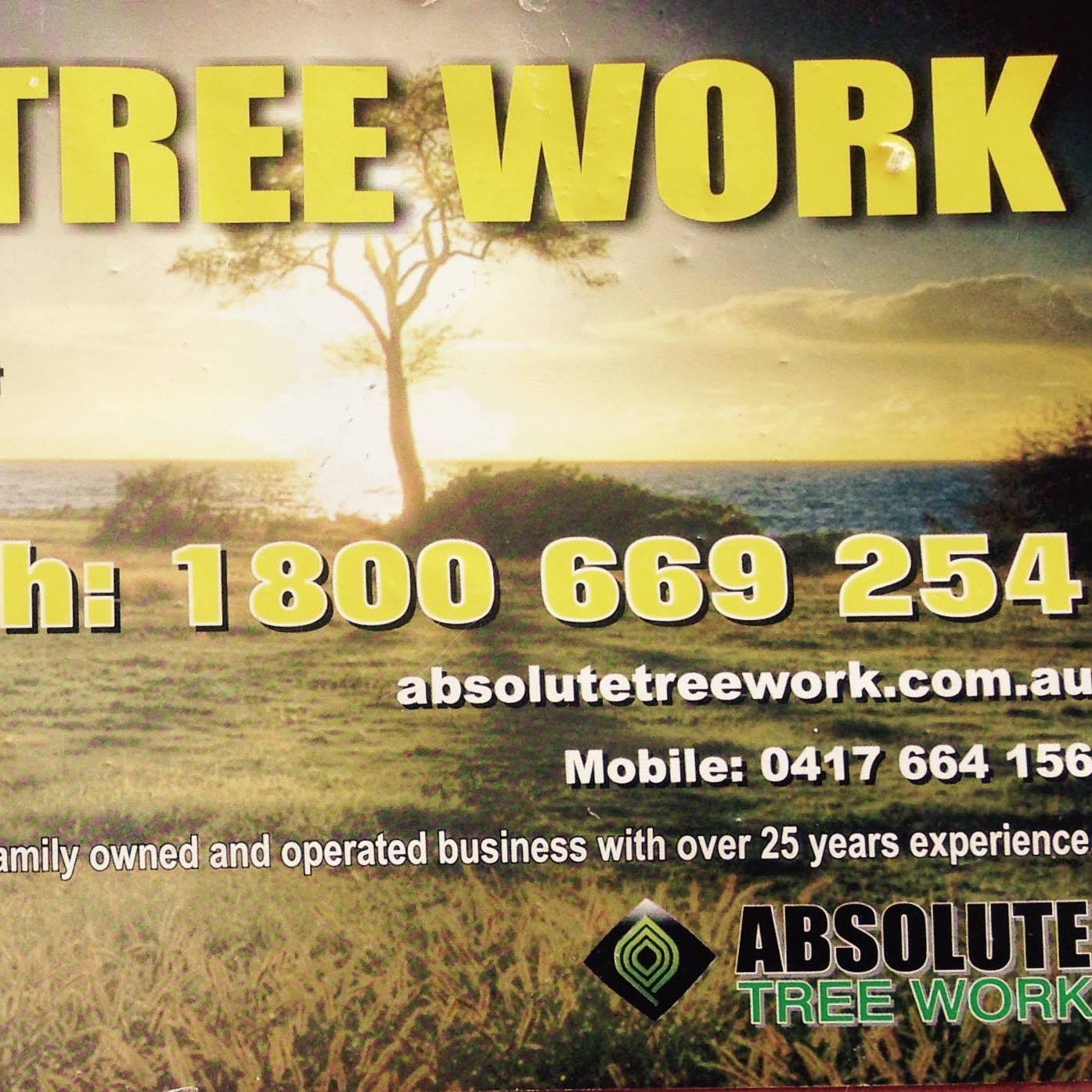 Absolute Tree Work | Brisbane City QLD