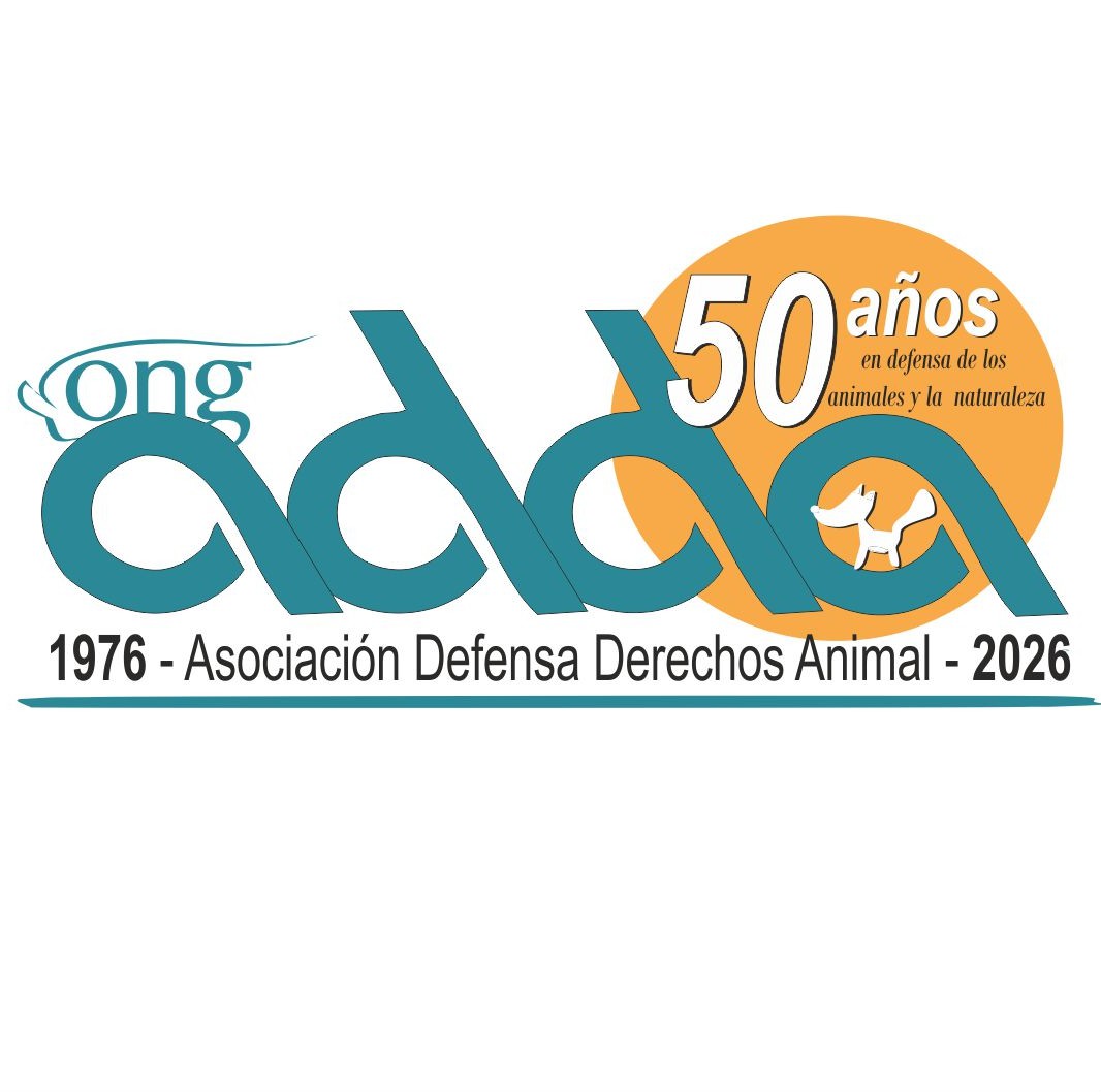 Ong ADDA | Barcelona