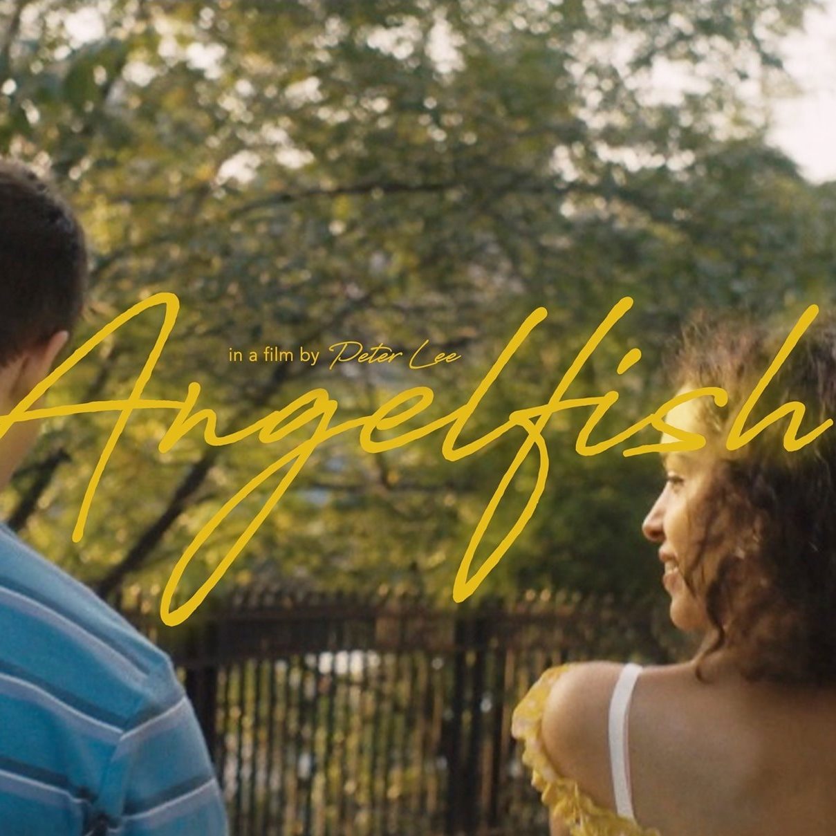 Angelfish - a love story