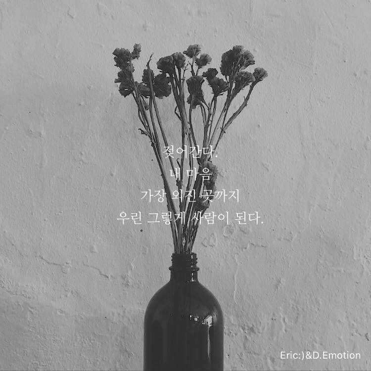 하루감성