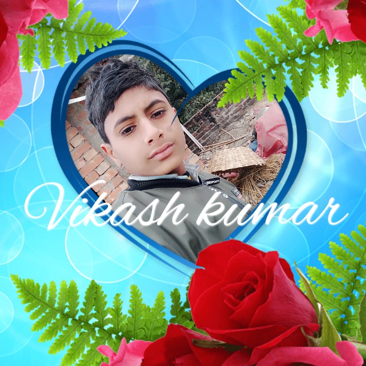 Vikash Kumar Raj