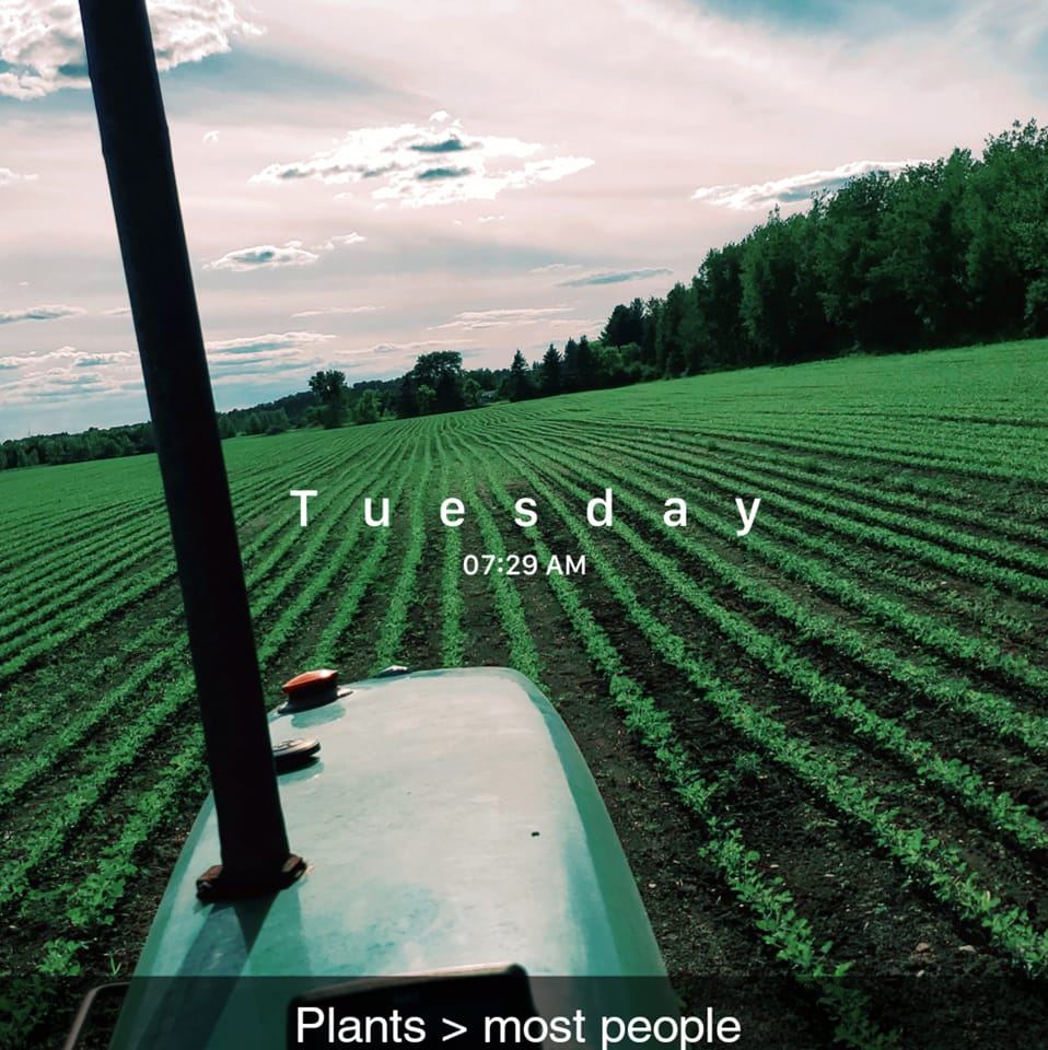 Advance Farms and Livestock LLC