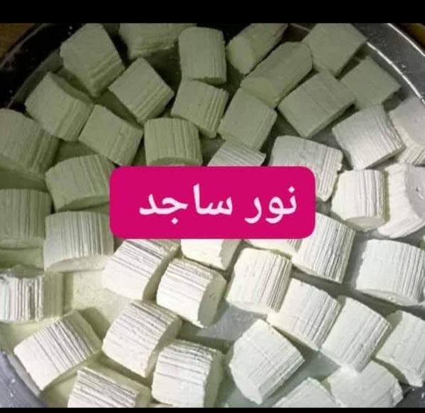 نور ساجد