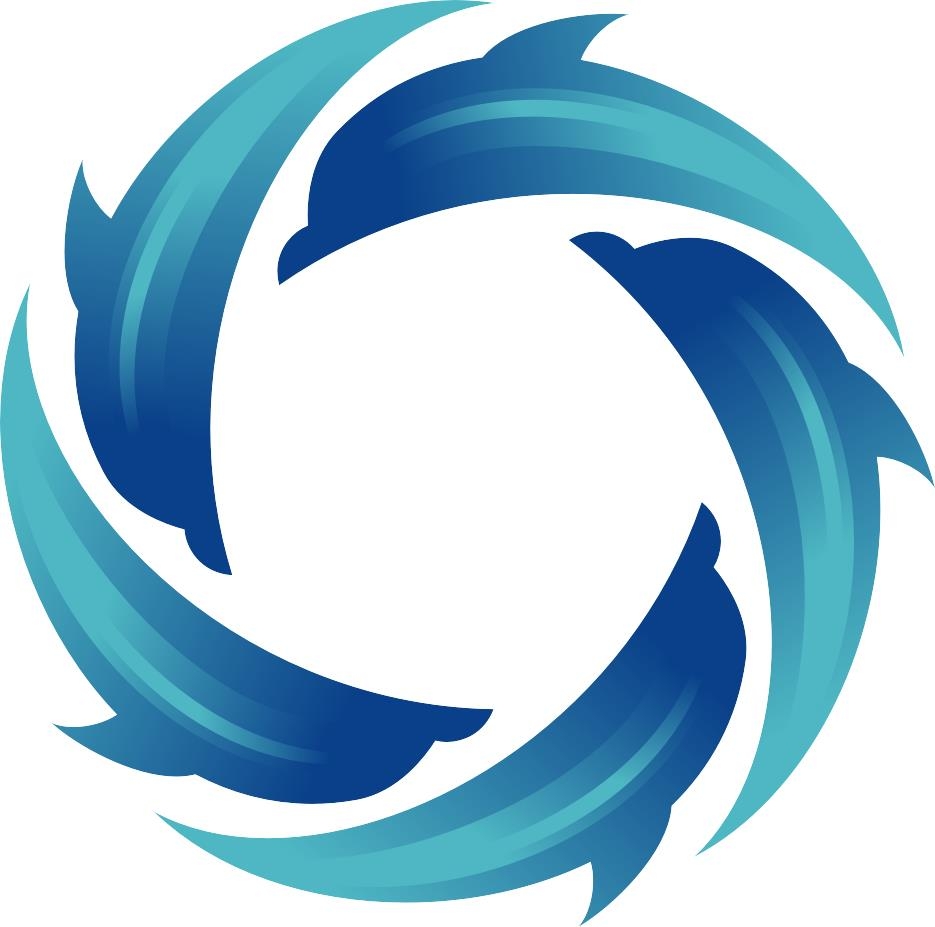 Smart Team Global, LLC | McLean VA