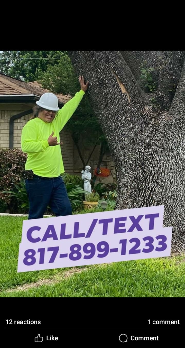 Royal Tree Service and Landscaping | Fort Worth TX