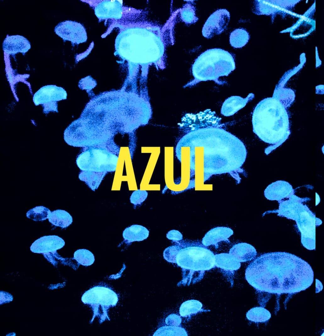 Azul Covers