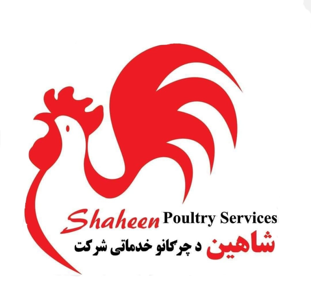شرکت مرغداری شاهین Shaheen Poultry Services