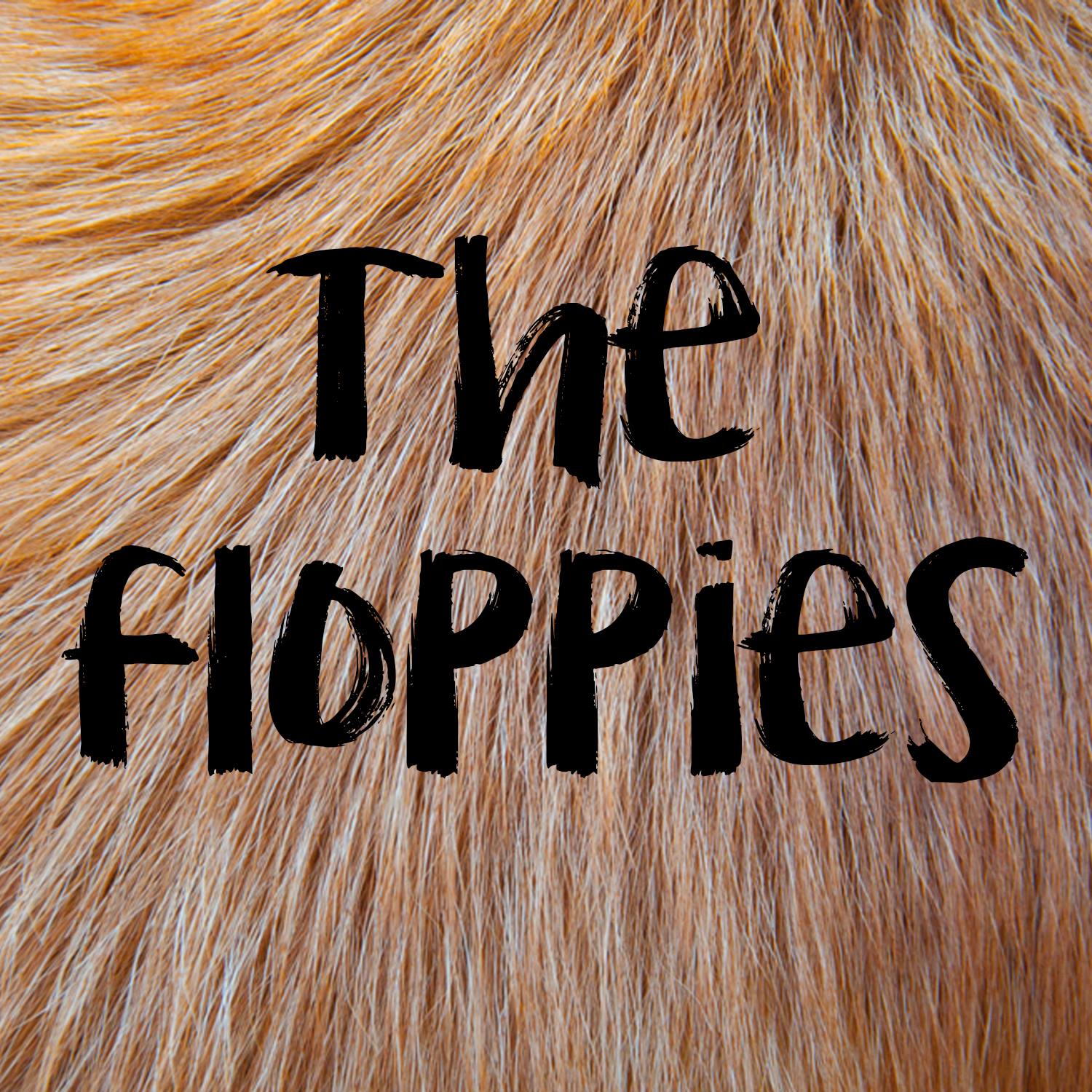 The Floppies