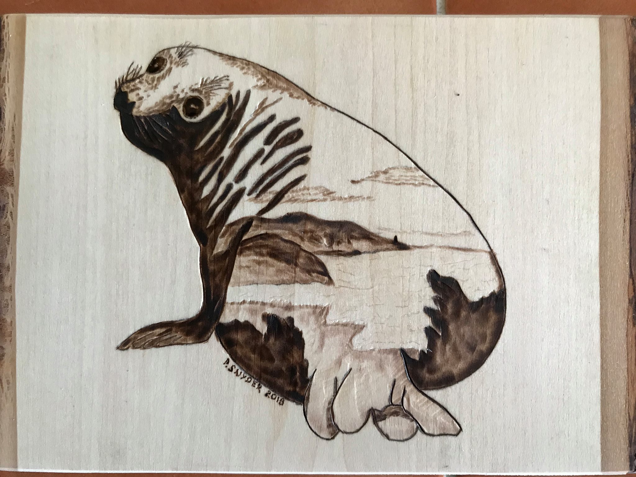 Nature’s Design Pyrography