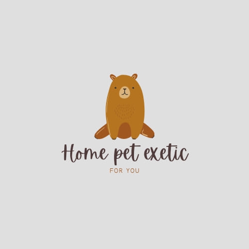 Home Pet Exetic