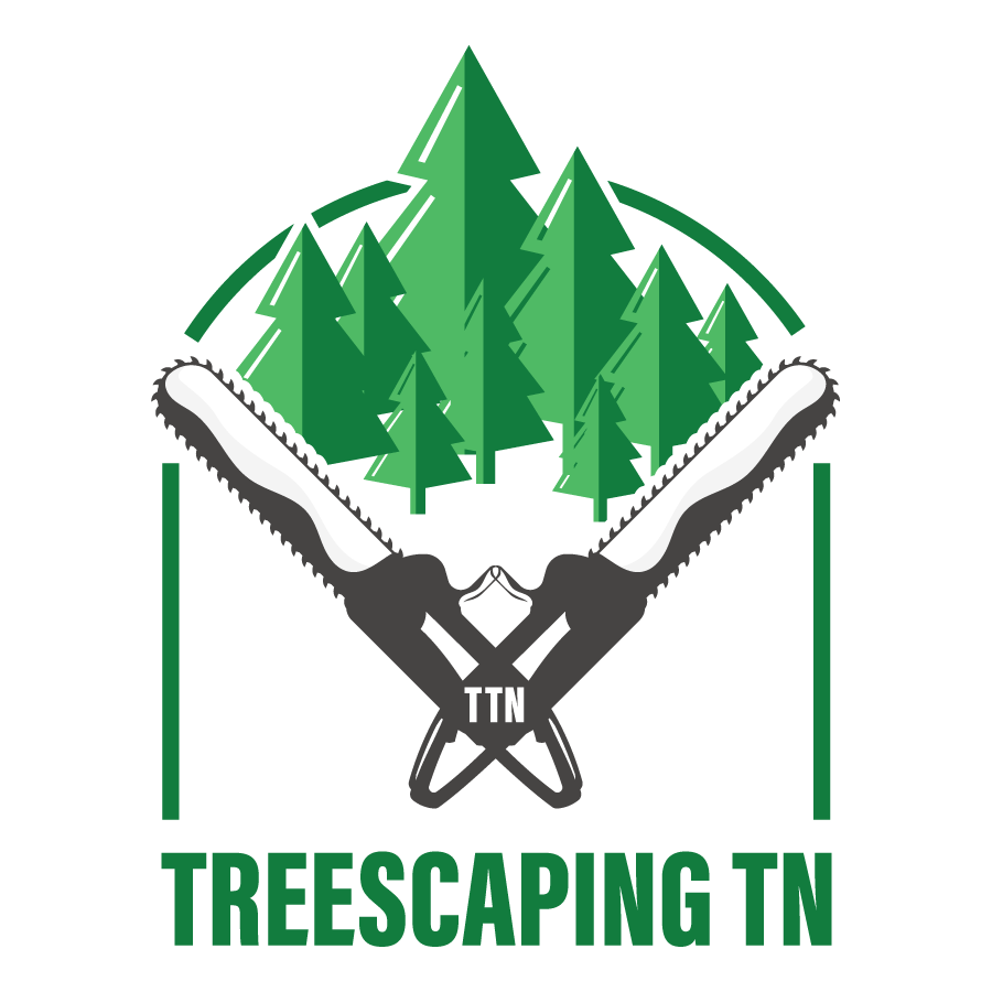 Treescaping TN | Smyrna TN