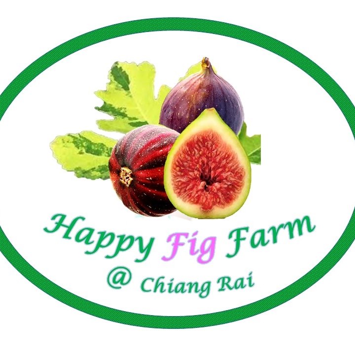 Happy Figs Farm บ้านสวนมะเดื่อฝรั่งอารมณ์ดี เชียงราย