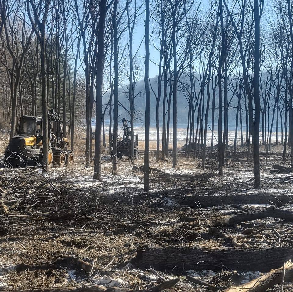 Hill Country Logging & Excavating | Spring Grove MN