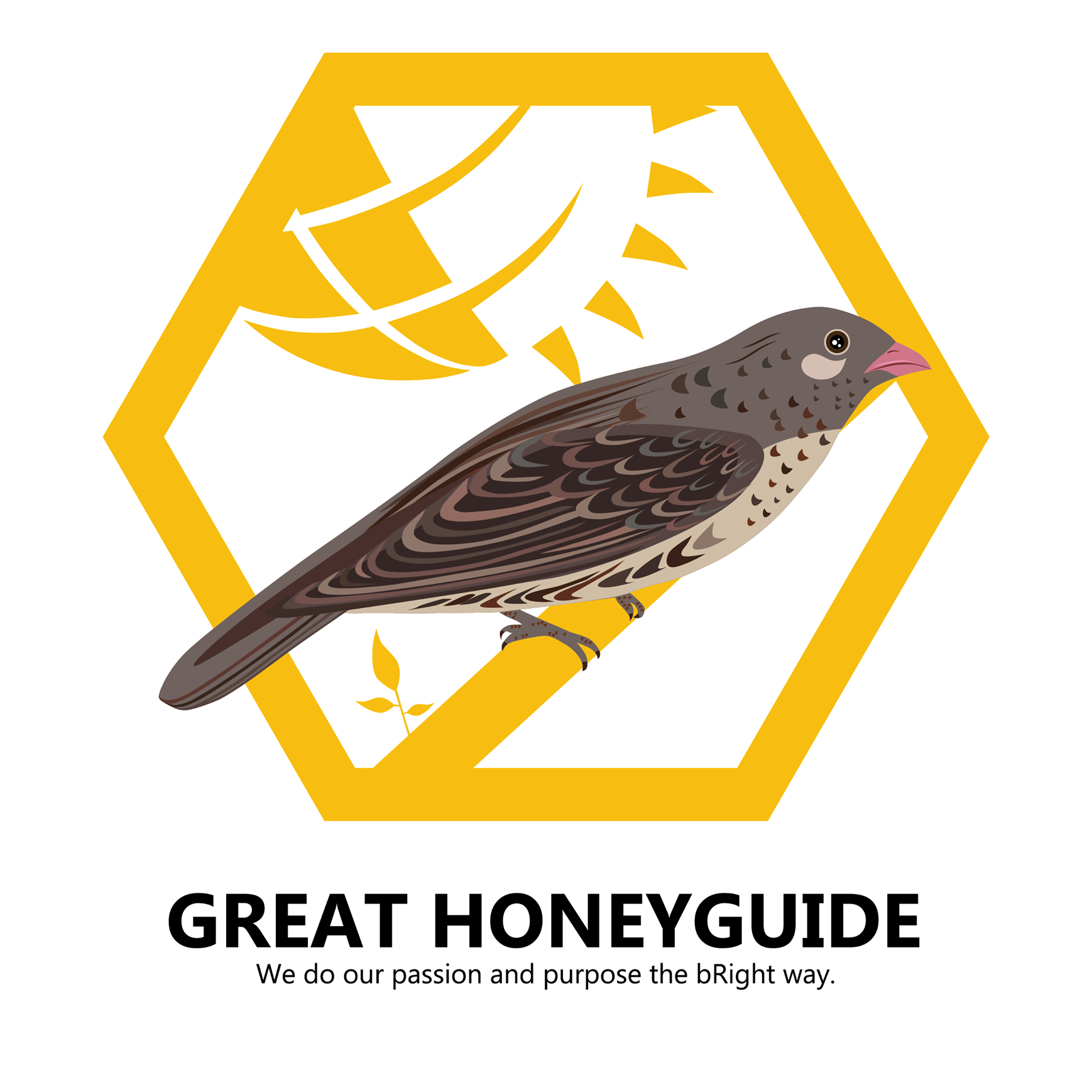 Your Bright Guide