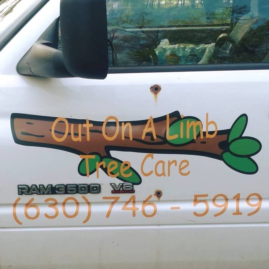 Out On A Limb Tree Care | Carol Stream IL