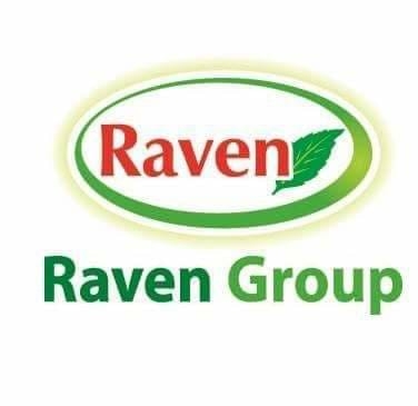 Raven Group