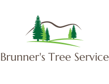 Brunner's Tree Service | New Kensington PA