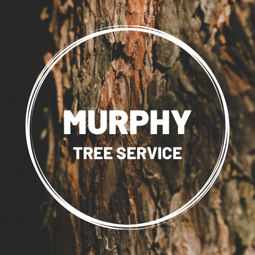 Murphy Tree Service