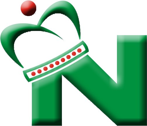 Nabil Group