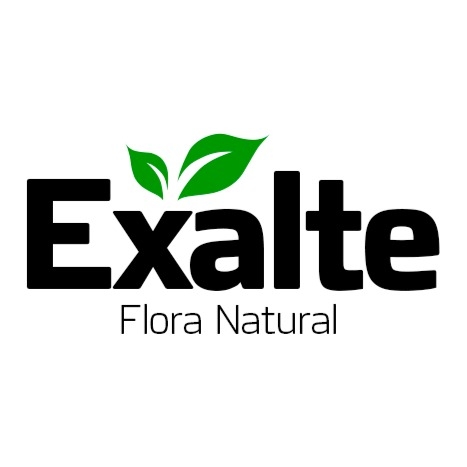 Exalte