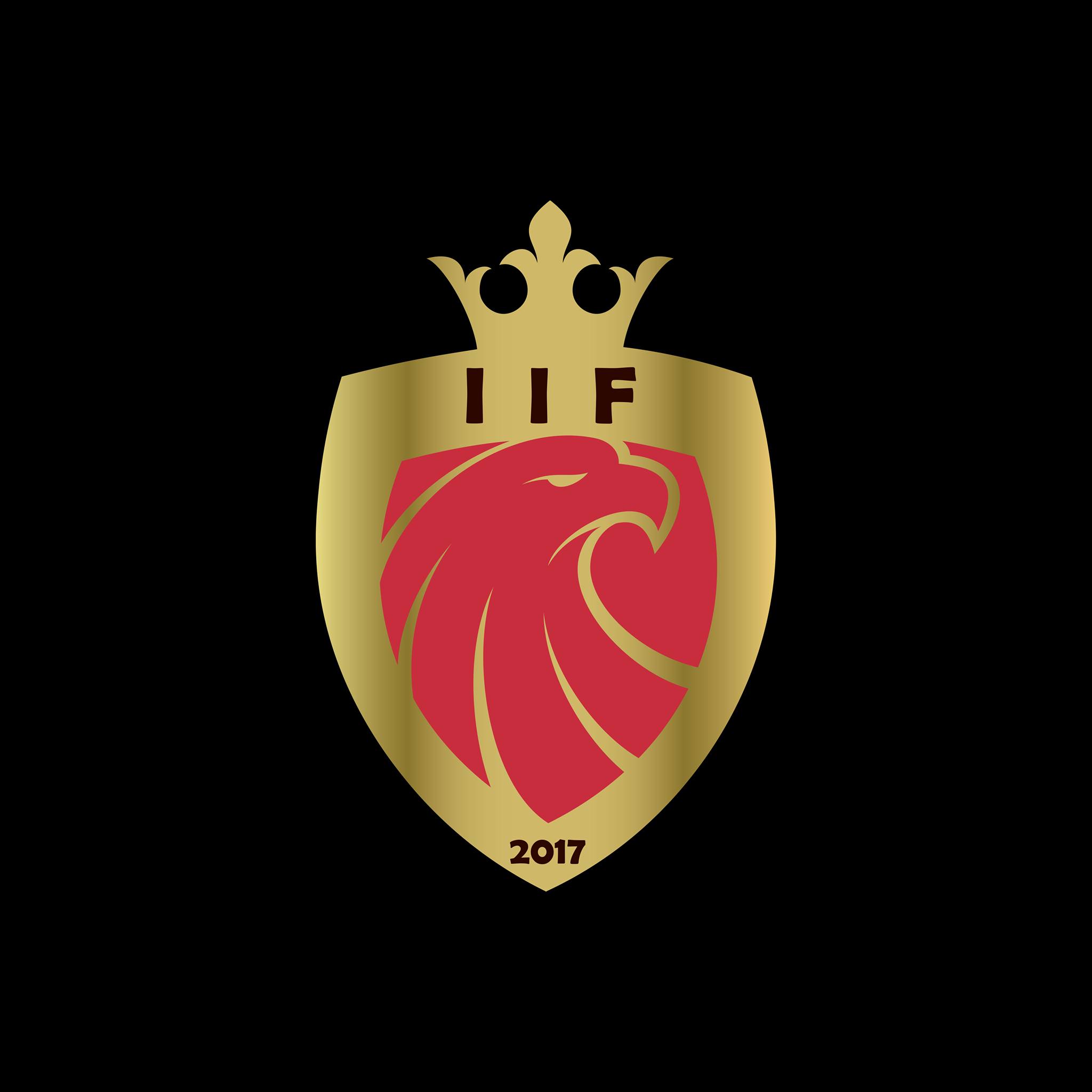 Parasport Aalborg - Powerchair football