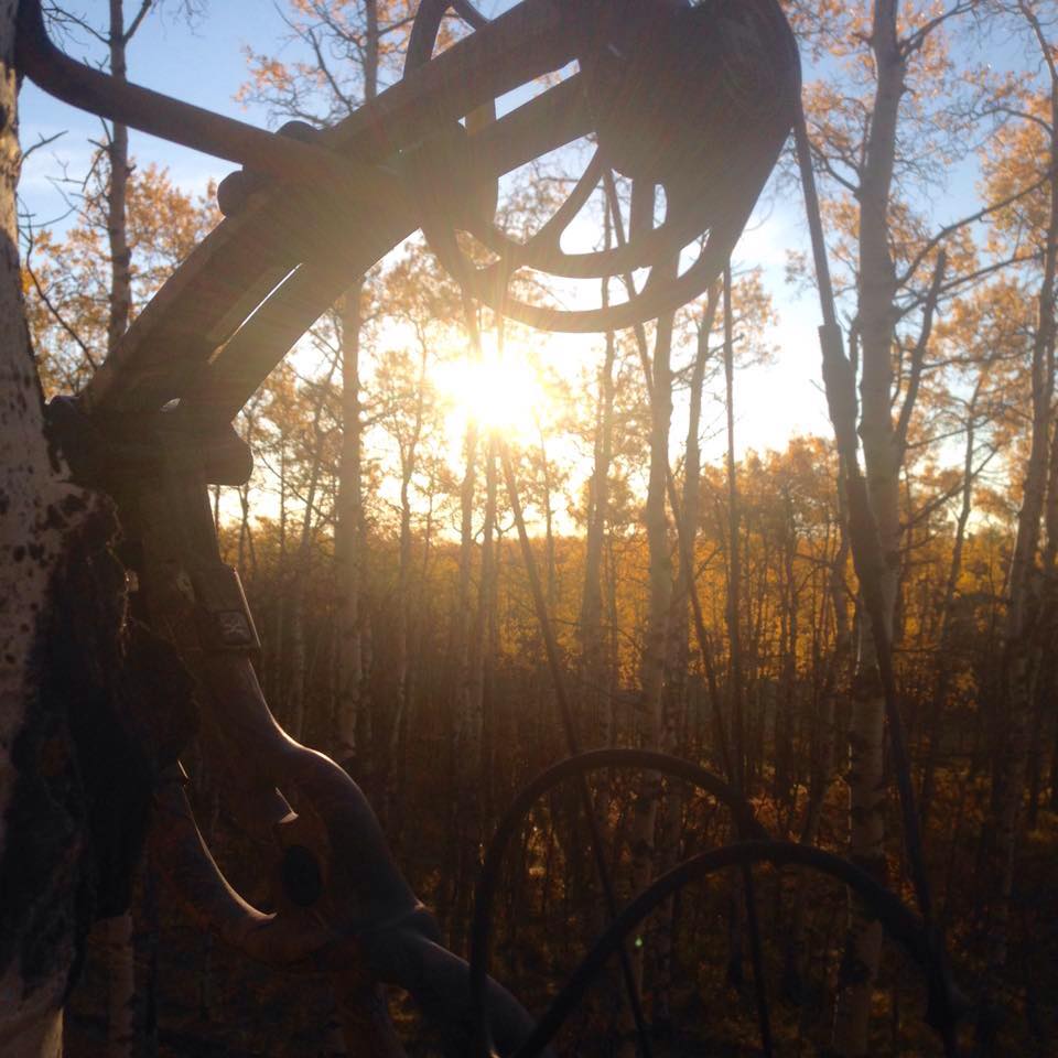 This young buck just came by my stand about 7 yds away. So cool to ...