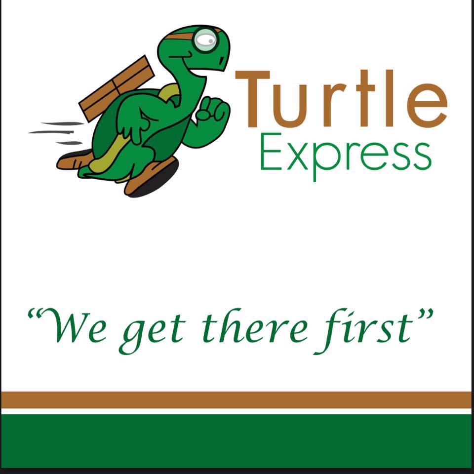 Turtle Express | Sun Prairie WI