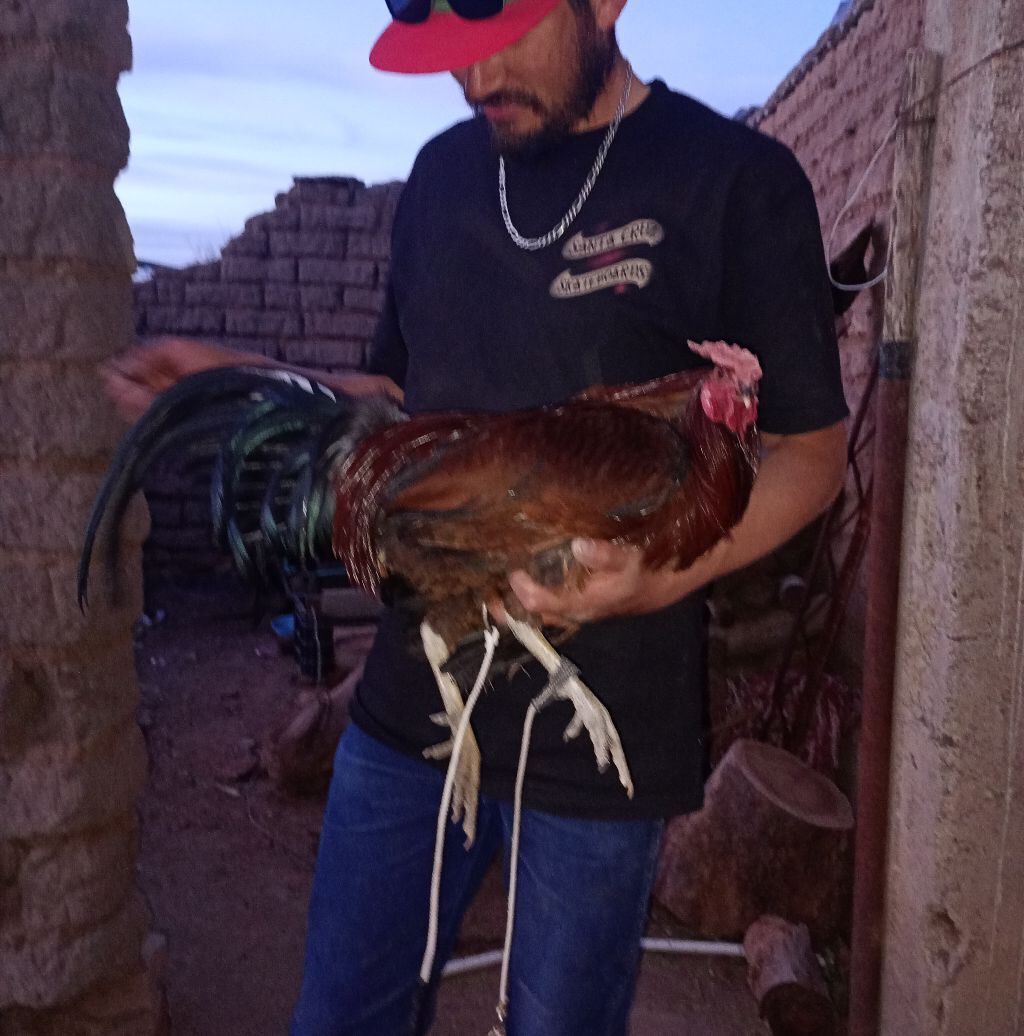Garay Chapete