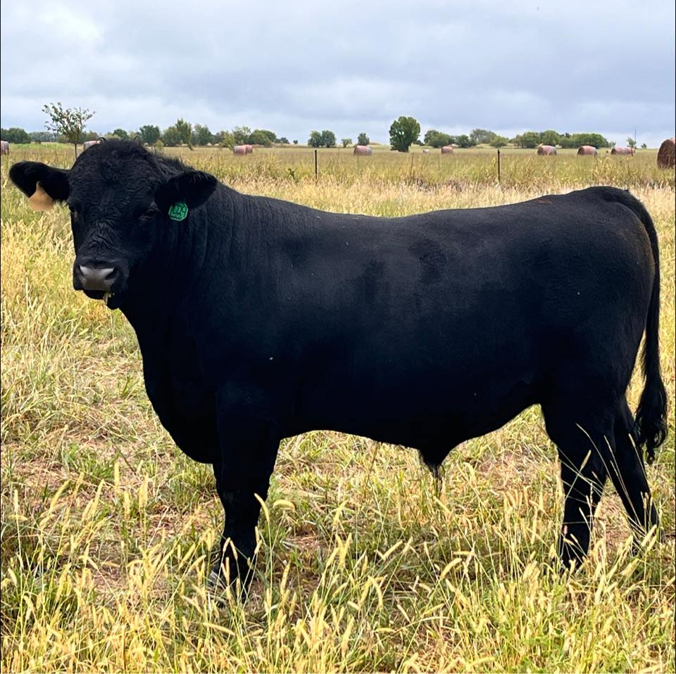 Graff Ranch | Neodesha KS