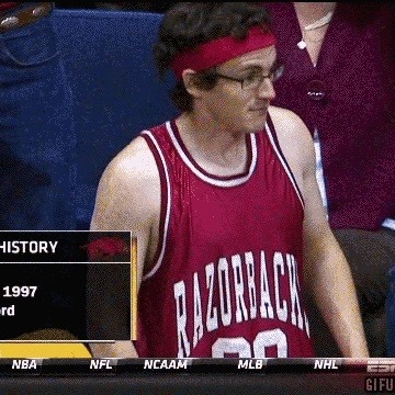 Dumb Razorbacks | Fayetteville AR