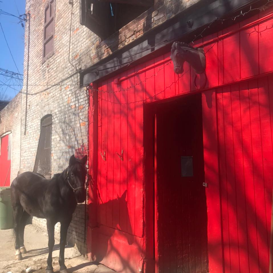 Carlton Street Stables | Baltimore MD