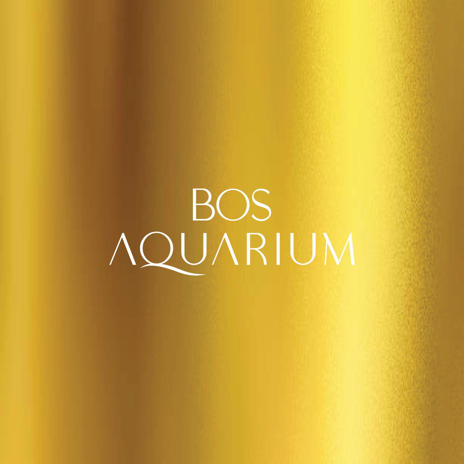 We can do big Aquarium, big pond also can! Aquascape in the outdoor ...