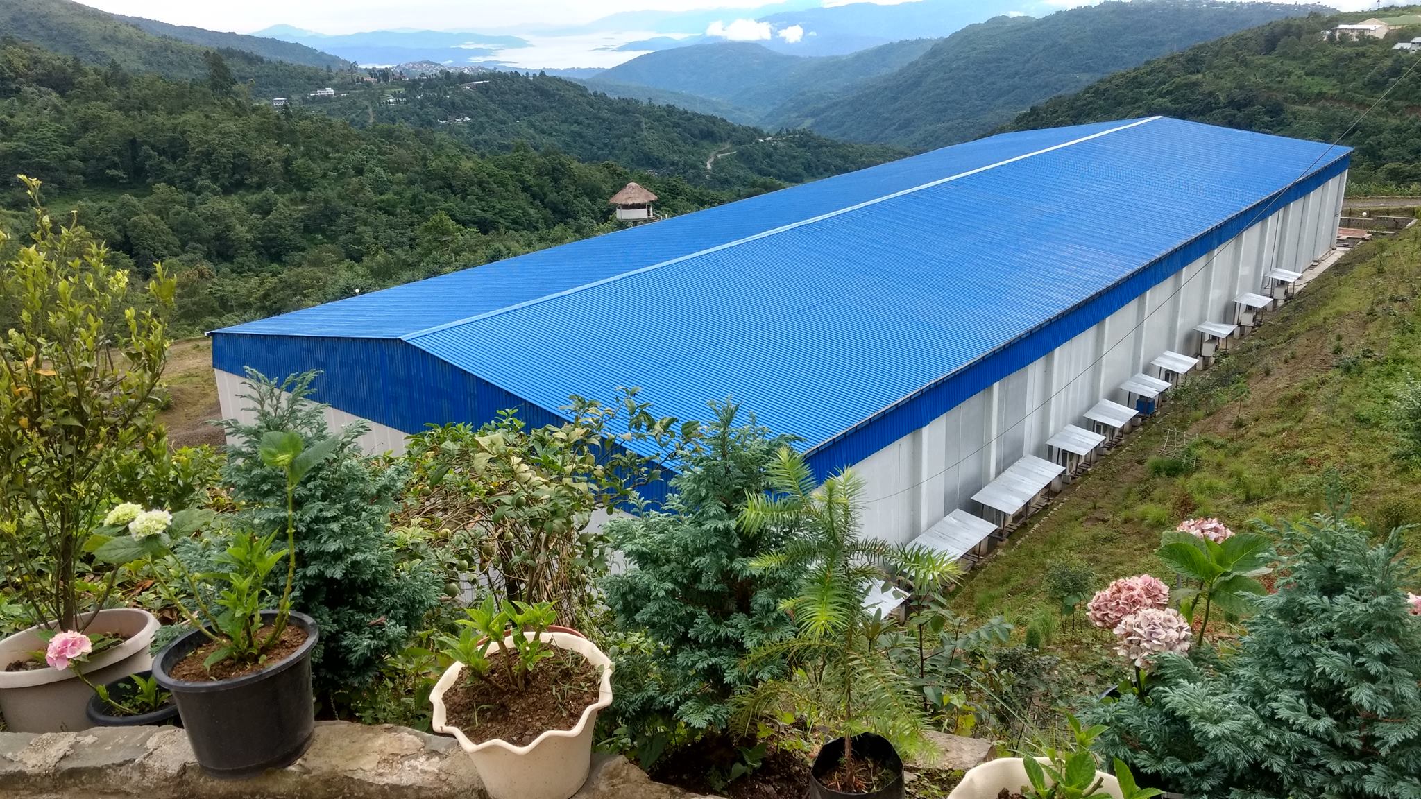 Integrated Cold Chain Project