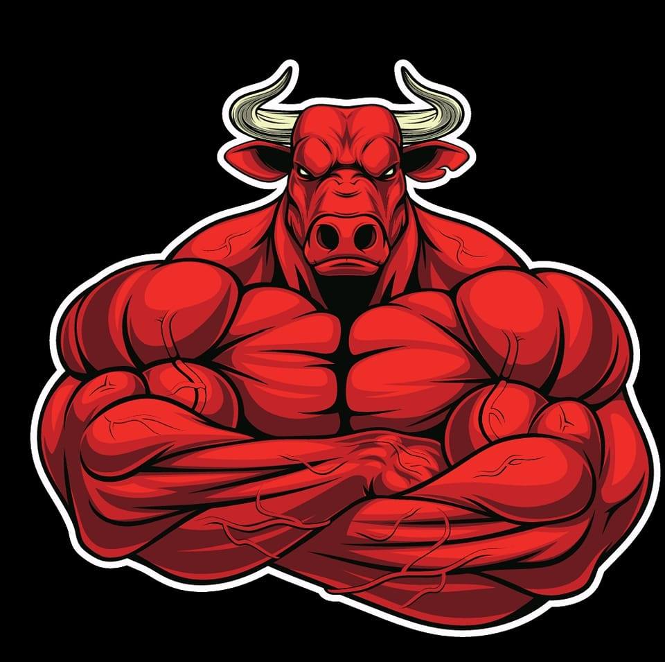Bullz Automotive | Moonah TAS