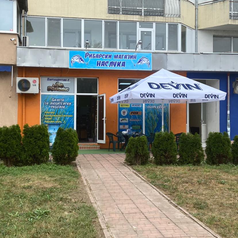 vidin