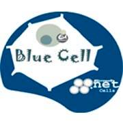 Bluecell STC | Cuenca