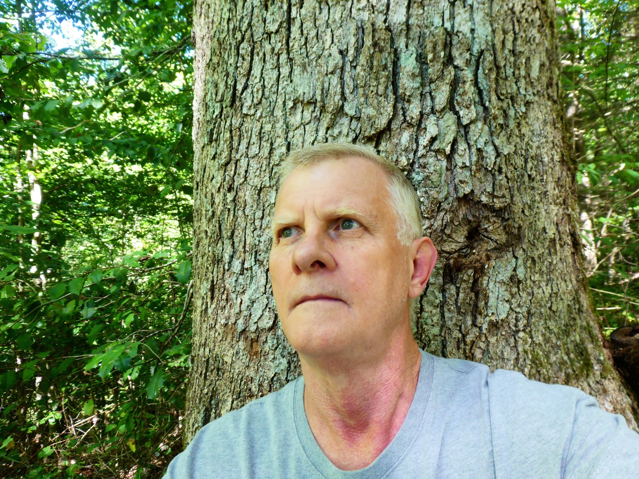 Ken Bush Writer