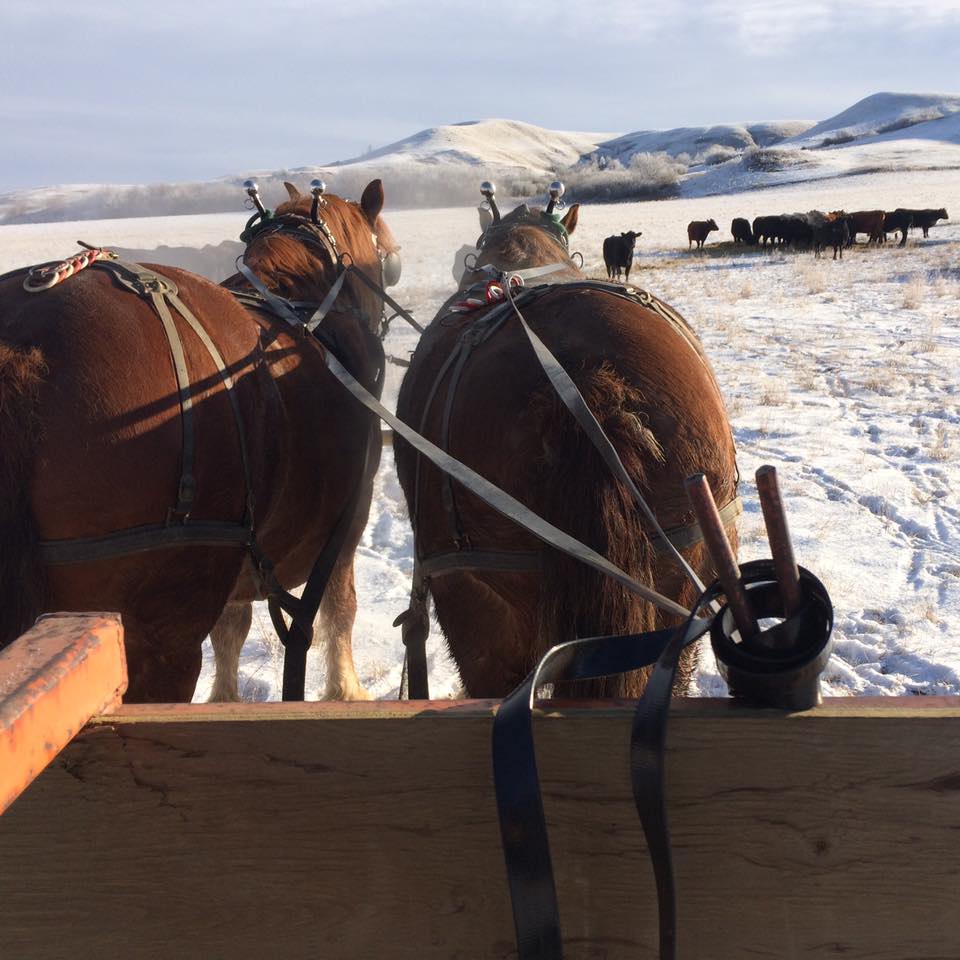 Spade Ranch