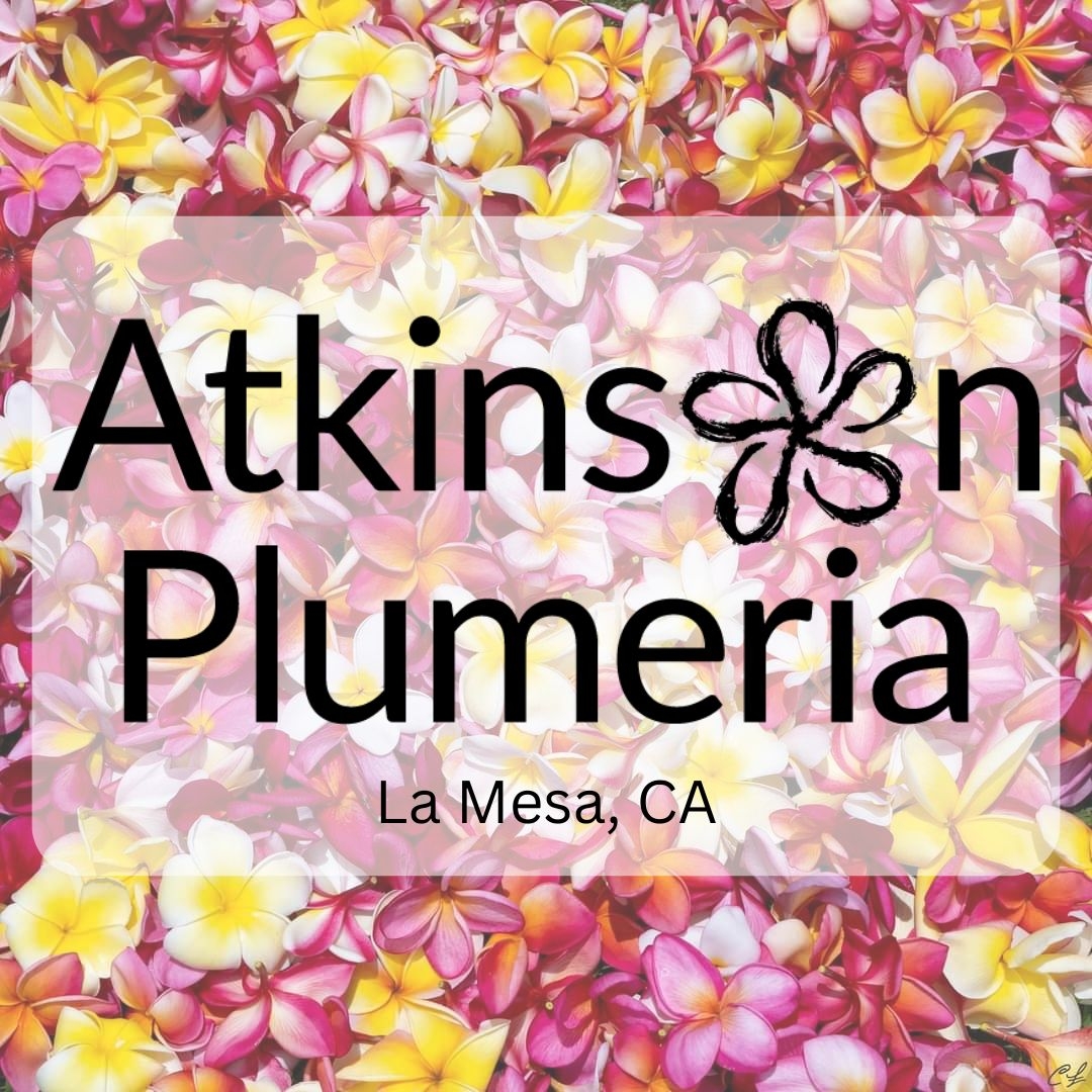 Raspberry Sundae plumeria in honor of... - Atkinson Plumeria | Facebook
