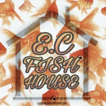 E.C FISH HOUSE | Bacolod CIty